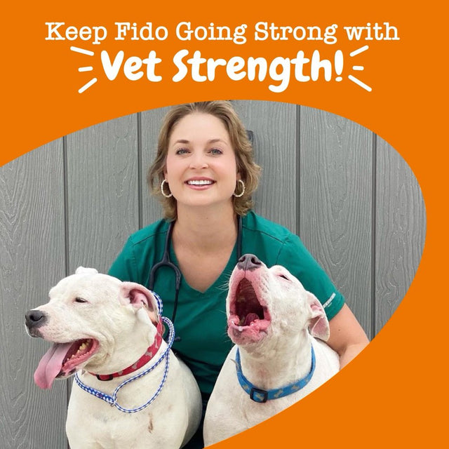 Vet Strength Pre, Post & Probiotic Bites? for Dogs