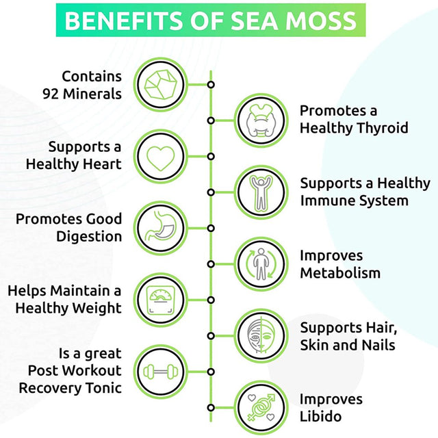 Trueseamoss Wildcrafted Irish Sea Moss Gel – Nutritious Raw Seamoss Rich in Minerals, Proteins & Vitamins – Antioxidant Health Supplement, Vegan-Friendly Made in USA (Mango/Pineapple, 1)