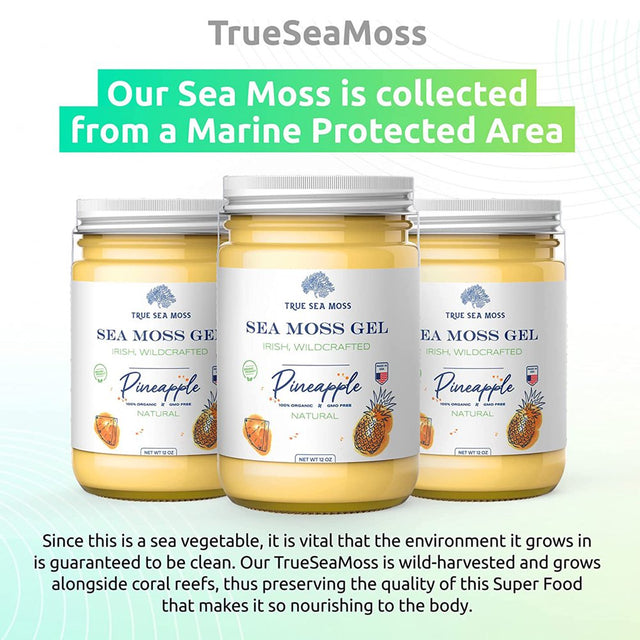 Trueseamoss Wildcrafted Irish Sea Moss Gel – Nutritious Raw Seamoss Rich in Minerals, Proteins & Vitamins – Antioxidant Health Supplement, Vegan-Friendly Made in USA (Pineapple, 2)