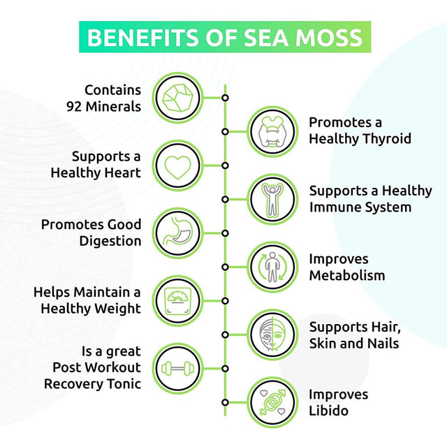 Trueseamoss Wildcrafted Irish Sea Moss Gel – Nutritious Raw Seamoss Rich in Minerals, Proteins & Vitamins – Antioxidant Health Supplement, Vegan-Friendly Made in USA (Banana, 3)