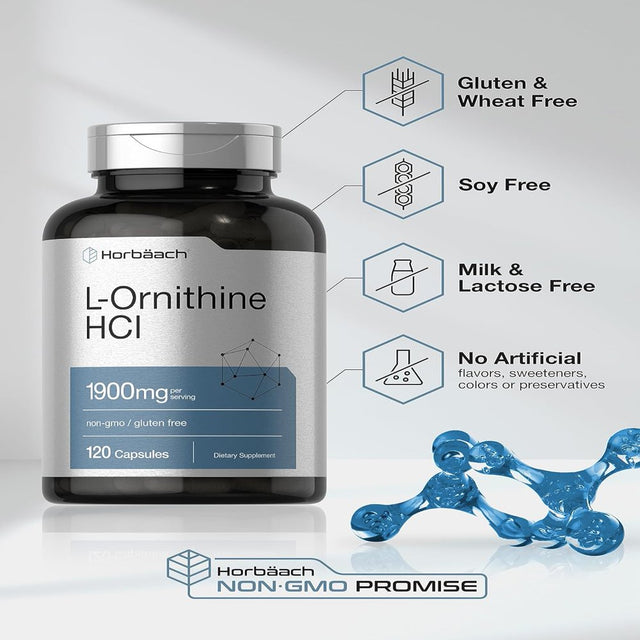 L Ornithine 1900 Mg | 120 Capsules | by Horbaach