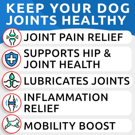 Glucosamine Chondroitin Dog Hip & Joint Supplement - Joint Pain Relief - Hip & Joint Chews for Dogs - Joint Support Large Breed - Senior Doggie Vitamin Pills Joint Health - (120 Treats - Bacon)