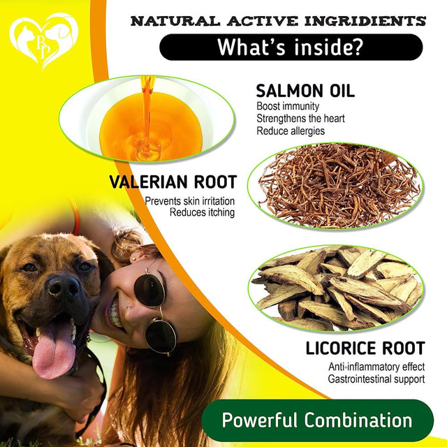 Dog anti Itch & Allergy Relief Chews - Dry Itchy Skin & Hot Spot Treatment with Probiotic, Omega 3 Oil - Immune Supplement & Seasonal Allergies Medicine for Dogs, Puppy - 140 Bites Made in USA