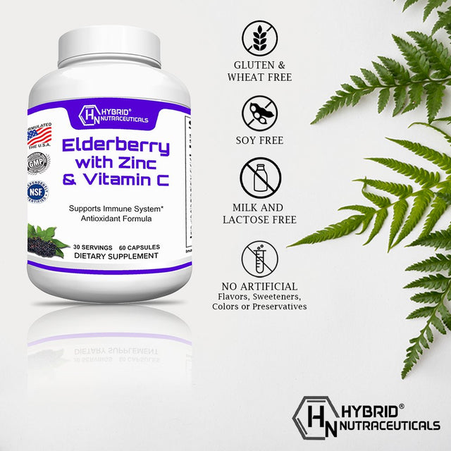 Black Elderberry Capsules with Echinacea, Turmeric, Garlic, Zinc, Vitamins C, E, B6, Probiotics and L-Glutamine (2-Pack)