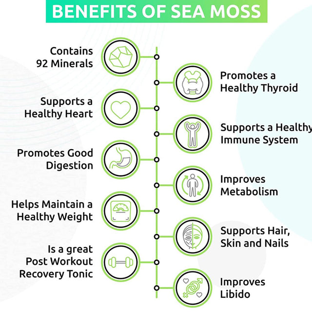 Trueseamoss Wildcrafted Irish Sea Moss Gel – Nutritious Raw Seamoss Rich in Minerals, Proteins & Vitamins – Antioxidant Health Supplement, Vegan-Friendly Made in USA (Pineapple, 2)