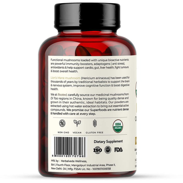 Lions Mane Mushroom Extract Capsules (60 Veg Caps, 500 Mg) | Memory, Focus, Brain Powder & Nerve Health