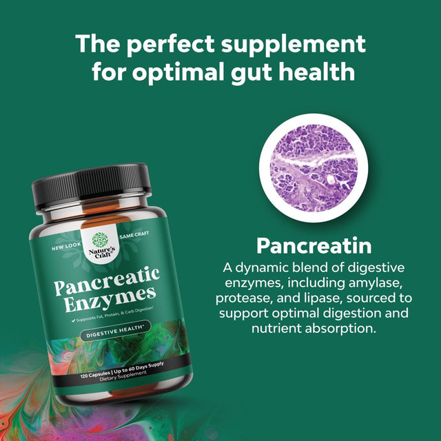 Pancreatin Digestive Enzymes for Digestive Health - Pancreatic Enzymes for Humans with Fat Carb and Protein Digestive Enzymes for Women and Men - Protease Amylase & Lipase Enzymes for Digestion