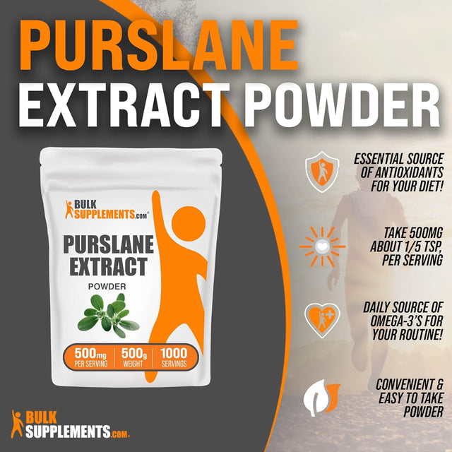 BULKSUPPLEMENTS.COM Purslane Extract Powder - Portulaca Oleracea Extract, Purslane Supplements - Supplementation, Pack of 1 - Gluten Free, 500Mg per Serving, 500G (1.1 Lbs)