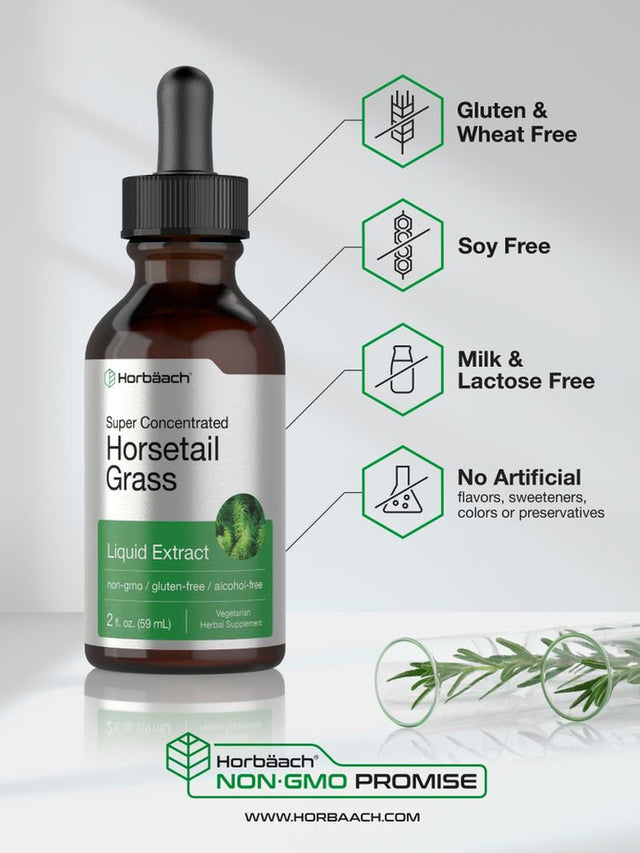 Horsetail Herb Liquid Extract | 2 Oz | Vegetarian & Alcohol Free | by Horbaach