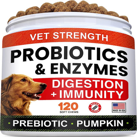 Vet Strength Dog Probiotics Treats - 1 Billion CFU + Digestive Enzymes + Prebiotics - Chewable Fiber Supplement W/ Pumpkin - Allergy, Diarrhea, Gas, Constipation, Upset Stomach Relief - Immunity