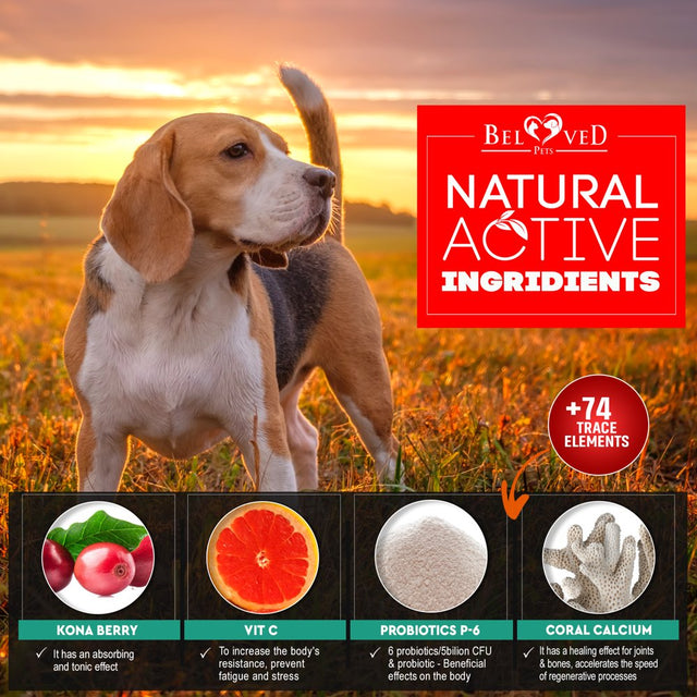 Dog anti Itch & Allergy Relief Chews - Dry Itchy Skin & Hot Spot Treatment with Probiotic, Omega 3 Oil - Immune Supplement & Seasonal Allergies Medicine for Dogs, Puppy - 140 Bites Made in USA