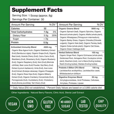 Nutrachamps Super Greens Powder Premium Antioxidant Superfood | Organic Greens Fruit and Veggie Vegan Supplement | 40+ Greens and Superfoods Including Wheatgrass & Spirulina | Probiotic Powder Greens