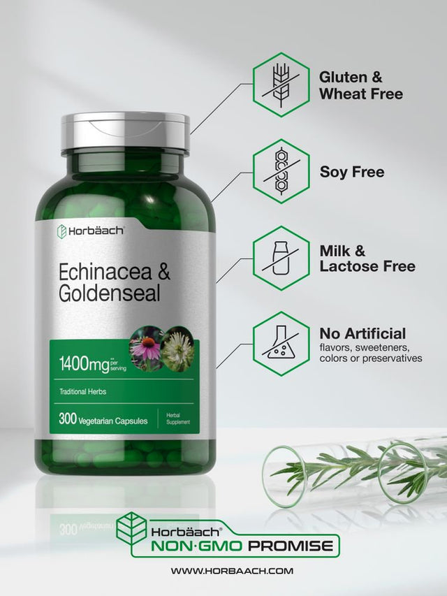 Echinacea Goldenseal Extract | 1400Mg | 300 Vegetarian Capsules | by Horbaach