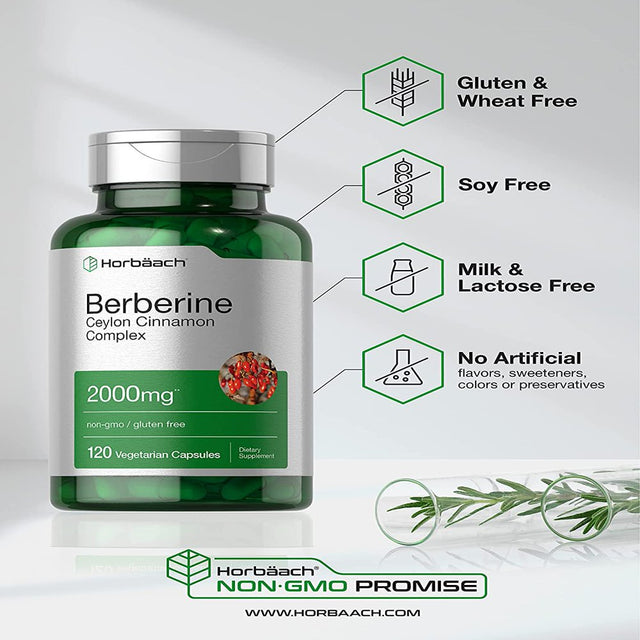 Berberine plus Ceylon Cinnamon | 2000Mg | 120 Capsules | by Horbaach