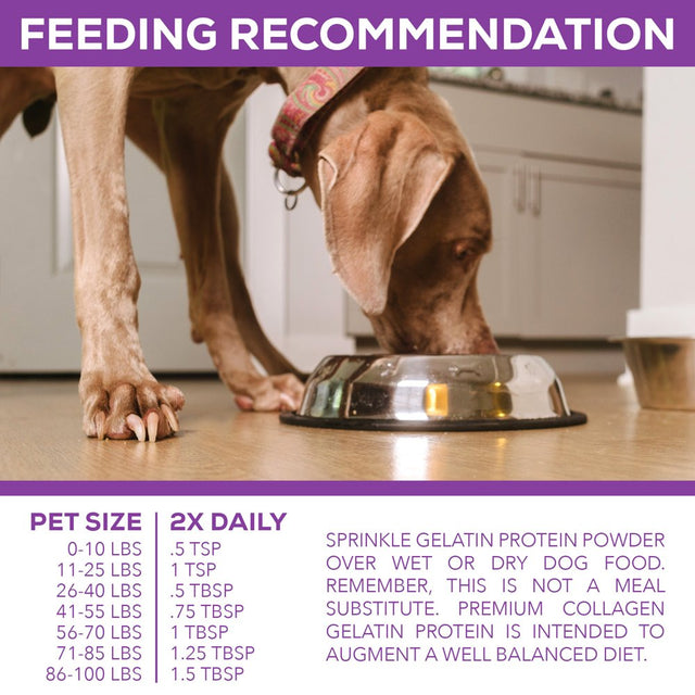 100% Collagen Protein for Dogs | Hip & Joint | Allergy Relief | Digestive Aid | Overall Health | 8 Lb