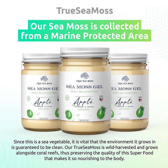 Trueseamoss Wildcrafted Irish Sea Moss Gel – Nutritious Raw Seamoss Rich in Minerals, Proteins & Vitamins – Antioxidant Health Supplement, Vegan-Friendly Made in USA (Banana, 2)