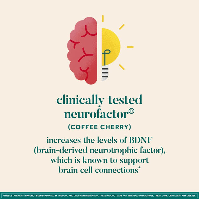 Neuriva Brain + Energy Gummies, Supports Focus and Concentration plus an Immediate Energy Boost, 75Ct Blackberry