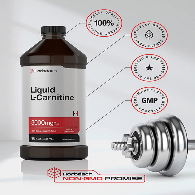 L-Carnitine Liquid 16 Oz | 3000 Mg | Natural Berry Flavor | by Horbaach