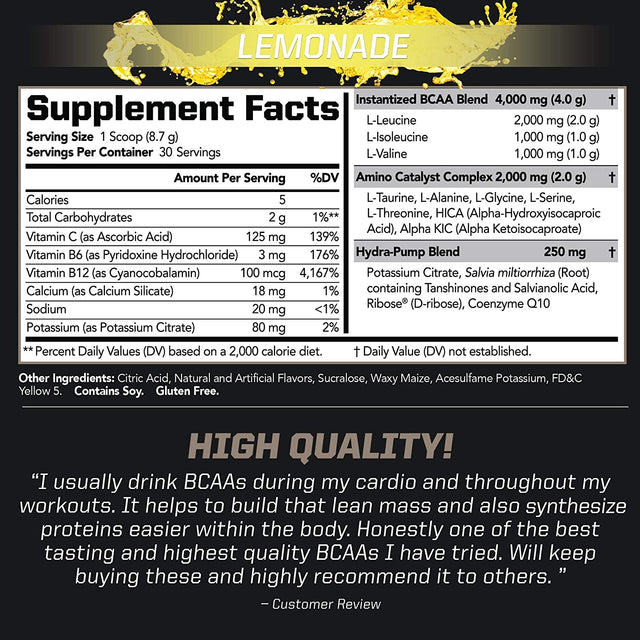 PMD Sports BCAA Stim-Free Amino Acids - Better Workout Performance, Enhanced Recovery, Daily Energy, Muscle Builder, and Muscle Sparing - BCAA Powder Drink Mix - Lemonade (30 Servings)