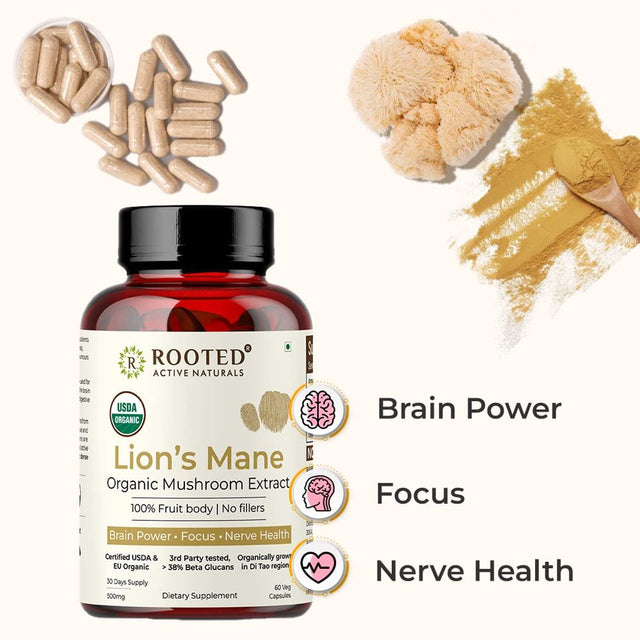 Lions Mane Mushroom Extract Capsules (60 Veg Caps, 500 Mg) | Memory, Focus, Brain Powder & Nerve Health