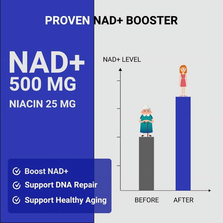 NAD+ Booster Supplement - Nicotinamide Adenine Dinucleotide 500 Mg - 60 Capsules