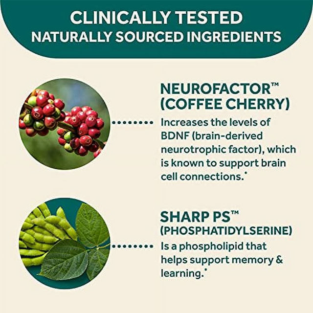 Neuriva Original Brain Health Supplement (30 Count), Brain Support with Clinically Tested Natural Ingredients (Coffee Cherry & Plant Sourced Phosphatidylserine), 3 Pack