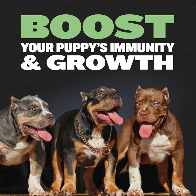 Puppy Bundle Pack, High Protein & Growth Puppy Food, Immunity Soft Chews for Growth, Dog Supplements plus Food