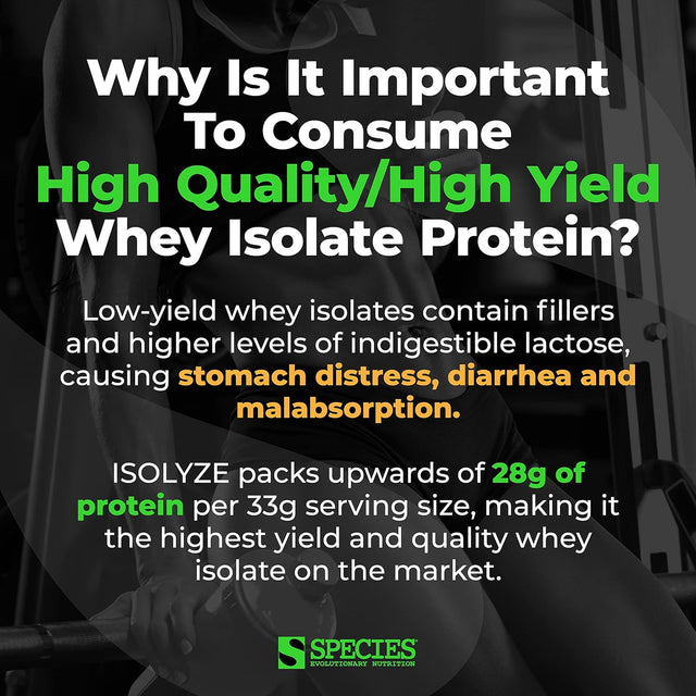 Species Nutrition Isolyze Whey Protein Powder, 100% Whey Isolate Protein, Whey Protein for Muscle Building, 27.5G Protein per Scoop, No Sugar & Low Fat Protein (Chocolate Peanut Butter, 44 Servings)