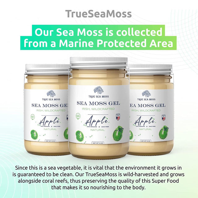 Trueseamoss Wildcrafted Irish Sea Moss Gel – Nutritious Raw Seamoss Rich in Minerals, Proteins & Vitamins – Antioxidant Health Supplement, Vegan-Friendly Made in USA (Apple, 1)