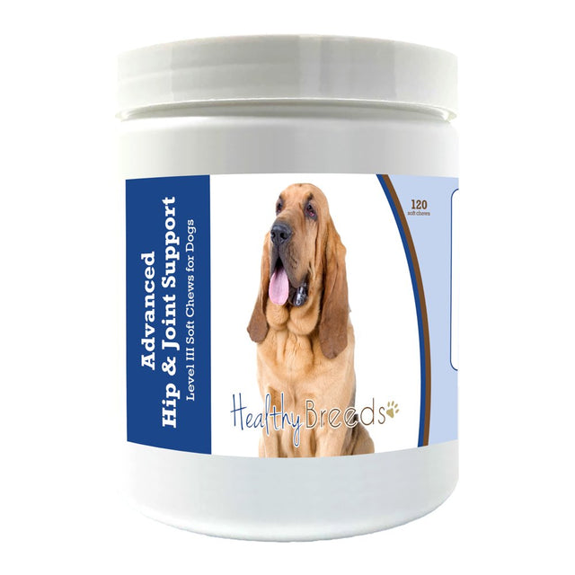 Healthy Breeds Bloodhound Advanced Hip & Joint Support Level III Soft Chews for Dogs 120 Count