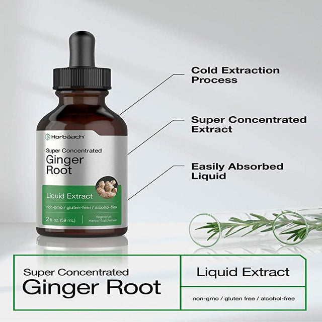 Ginger Root Liquid Extract | 2 Oz | Vegetarian & Alcohol Free | by Horbaach