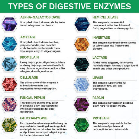 Digestive Enzymes 1200Mg Prebiotic & Probiotics Gas, Constipation & Bloating Relief - 60 Capsules