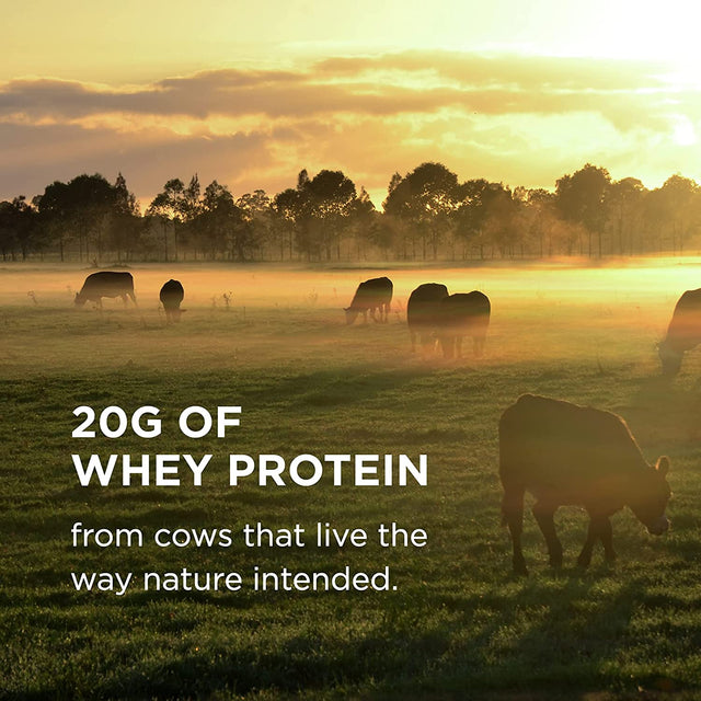 Solgar Grass Fed Whey to Go Protein Powder Vanilla, 2 Lb - 20G of Grass-Fed Protein from New Zealand Cows - Great Tasting & Mixes Easily - Supports Strength & Recovery -, 36 Servings