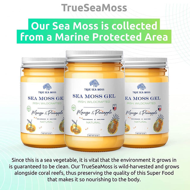 Trueseamoss Wildcrafted Irish Sea Moss Gel – Nutritious Raw Seamoss Rich in Minerals, Proteins & Vitamins – Antioxidant Health Supplement, Vegan-Friendly Made in USA (Mango/Pineapple, 3)