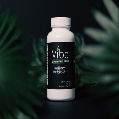 Tranont Vibe Nootropic Supplement- Natural Brain Support Wellness Formula with Nutrient-Packed Ingredients for Focus Factor, and Improve Mental Clarity , Brain Fog Relief (180 Capsules)