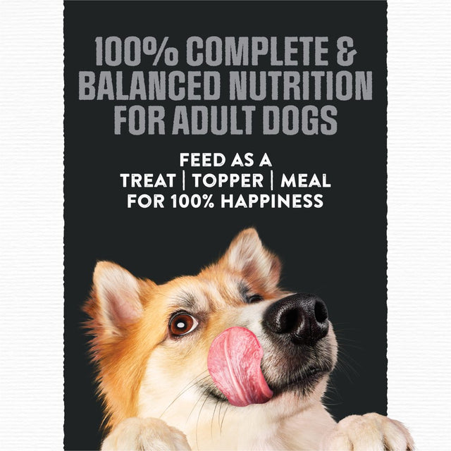 Purina Moist & Meaty Wet Dog Food High Protein, Soft Chicken & Beef Flavors, 6 Oz Pouches (12 Pack)