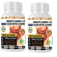 Parasite Cleanse DETOX Liver Colon Yeast Killer Pills All Natural Detox Candida -100 Capsules (Pack of 2)