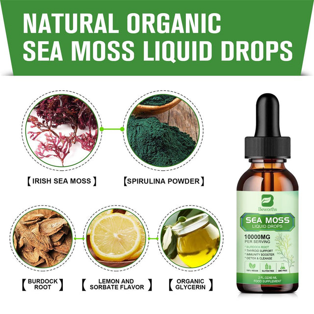 Beworths Organic Sea Moss Liquid Drops 10000Mg - 5X Stronger than Gummy & Capsules - Joint, Digestion, Thyroid Immunity Essential Support - 60Ml