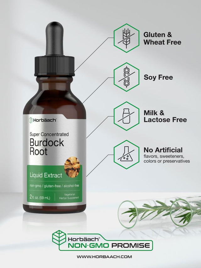 Burdock Root Liquid Extract | 2 Oz | Vegetarian & Alcohol Free | by Horbaach