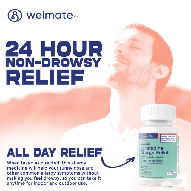 WELMATE Antihistamine Allergy Relief - Loratadine 10Mg - 24 Hour Relief - 365 Count Tablets