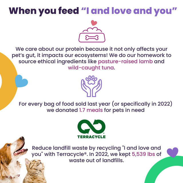 "I and Love and You" Irresist-A-Bowls Wet Dog Food, Chicken and Duck Recipe, Grain Free