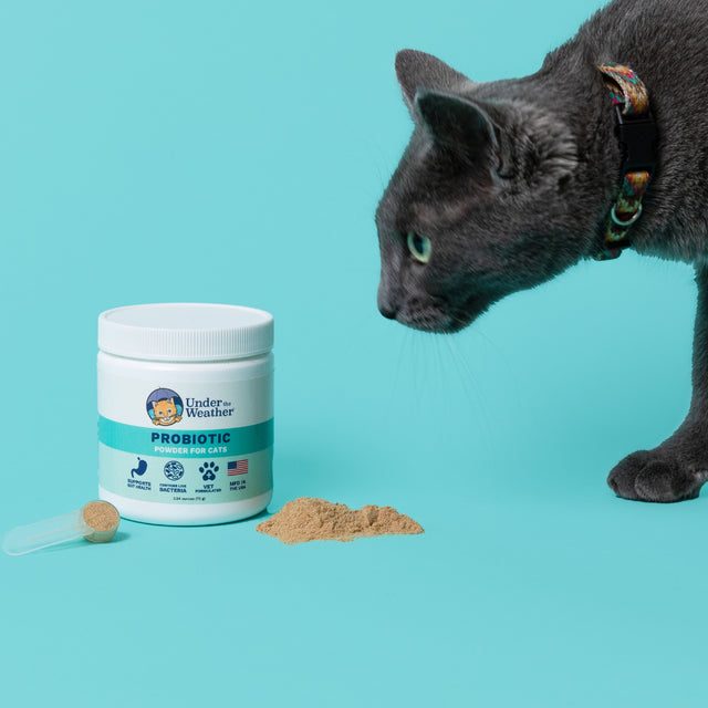 Under the Weather Pet | Probiotic Powder for Cats | Vet Formulated Probiotic Supplement for Digestive Gut Health