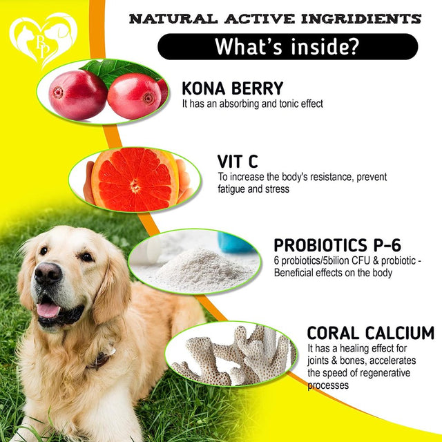 Dog anti Itch & Allergy Relief Chews - Dry Itchy Skin & Hot Spot Treatment with Probiotic, Omega 3 Oil - Immune Supplement & Seasonal Allergies Medicine for Dogs, Puppy - 140 Bites Made in USA