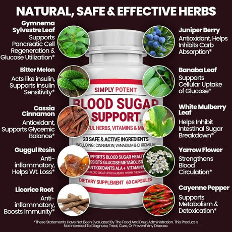 Blood Sugar Support Supplement - Glucose Balance W Alpha Lipoic Acid & Cinnamon 60 Capsule