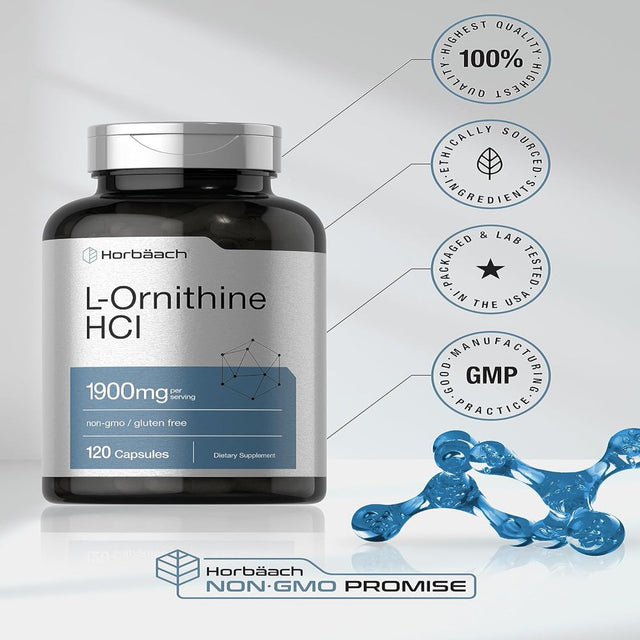 L Ornithine 1900 Mg | 120 Capsules | by Horbaach