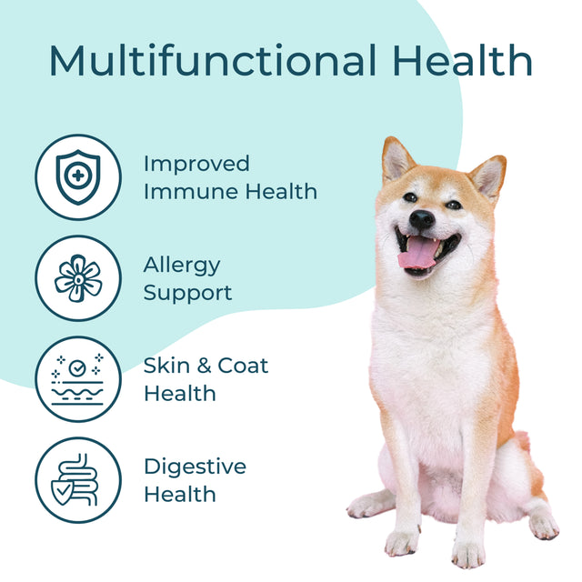 Boops Immune Health, Functional Dog Treats, Allergy Supplement, Chicken & Vegetable Recipe, 10Oz