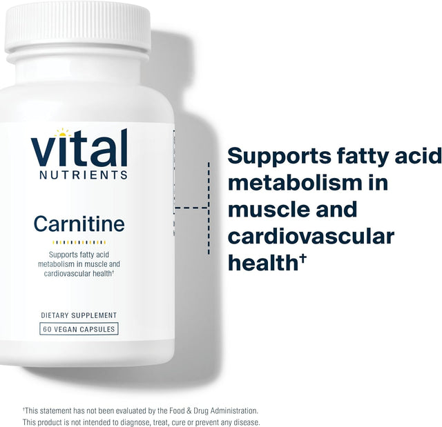 Vital Nutrients - Carnitine - Cardiovascular and Fat Metabolism Support - L-Carnitine Supplement - Heart Health Support - Supports Fatty Acid Transport - 60 Vegetarian Capsules per Bottle - 500 Mg