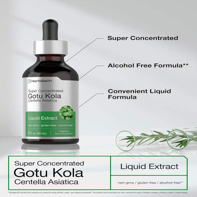 Gotu Kola Liquid Extract | 2 Fl Oz | Vegetarian & Alcohol Free | by Horbaach