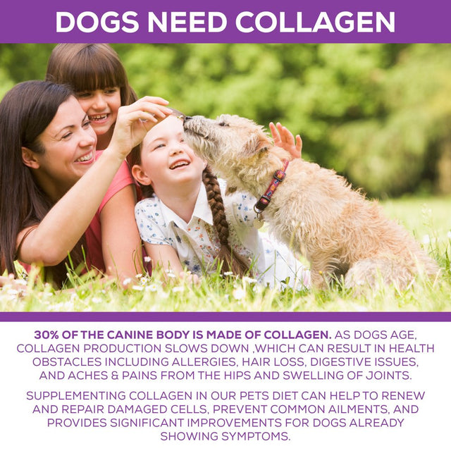 100% Collagen Protein for Dogs | Hip & Joint | Allergy Relief | Digestive Aid | Overall Health | 8 Lb