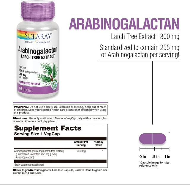 SOLARAY Arabinogalactan, Larch Tree Extract 300Mg | Prebiotic Fiber for Healthy Gut & Immune System Support | 60 Vegcaps